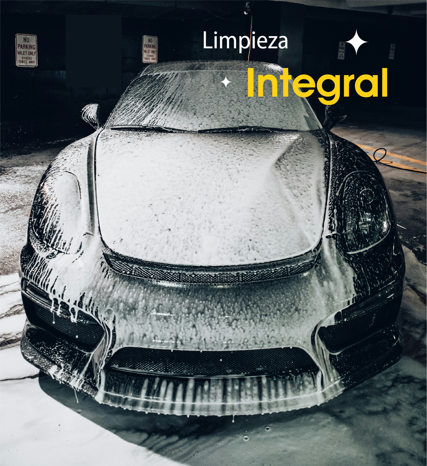 Limpieza Integral